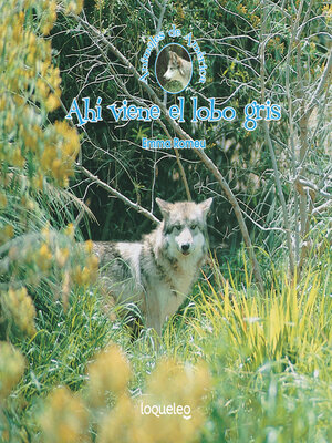 cover image of Ahí viene el lobo gris